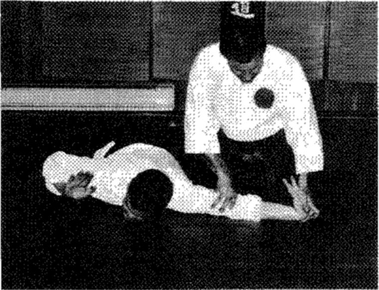 Hakkoryu photo 206