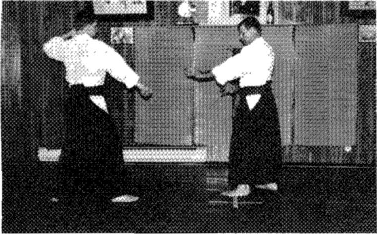 Hakkoryu photo 207