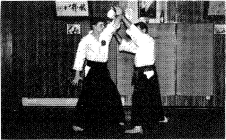Hakkoryu photo 208