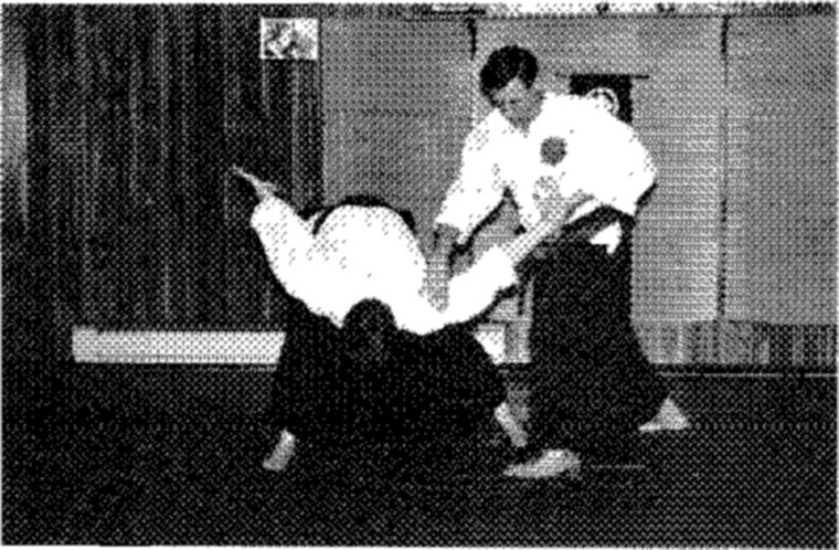 Hakkoryu photo 209