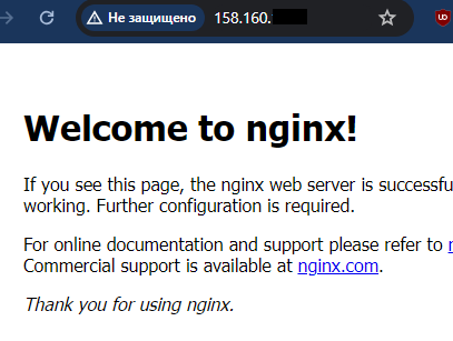Скриншот nginx