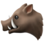 boar