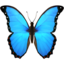 butterfly