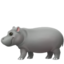 hippopotamus