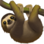 sloth