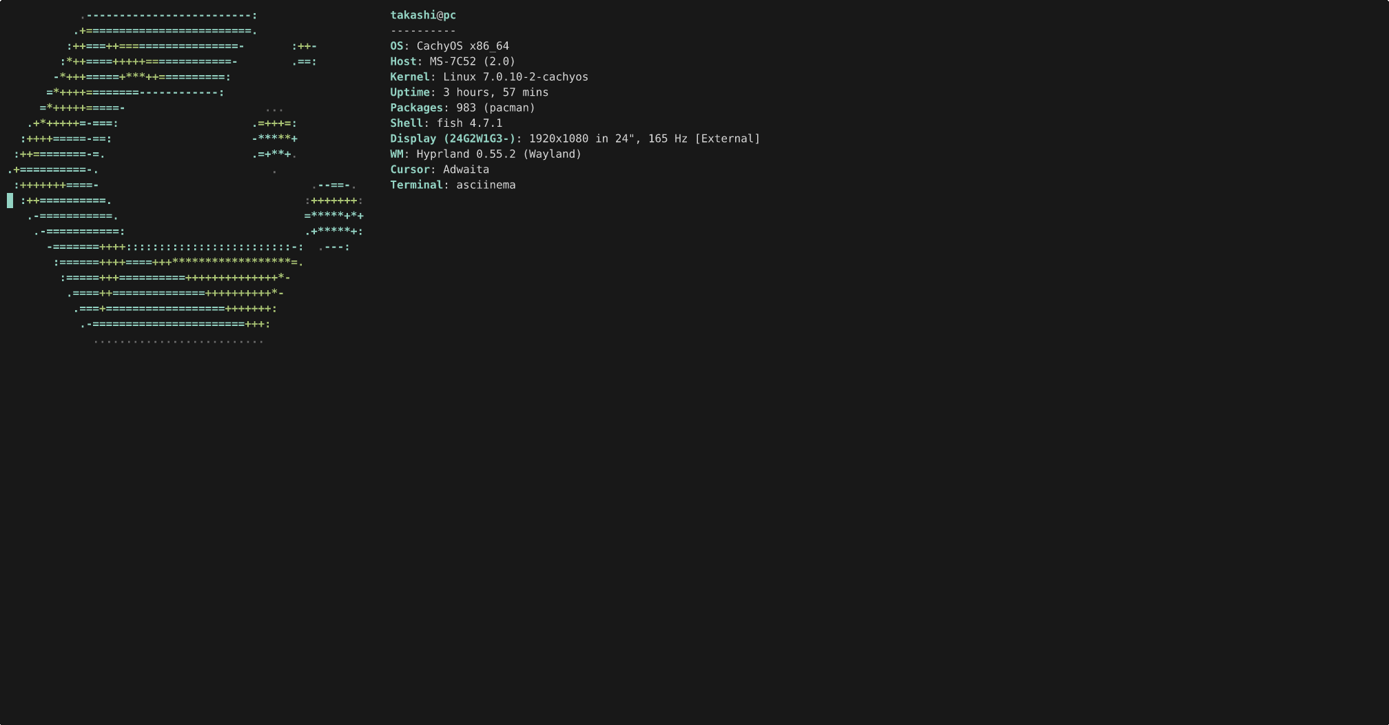 audium running in a terminal