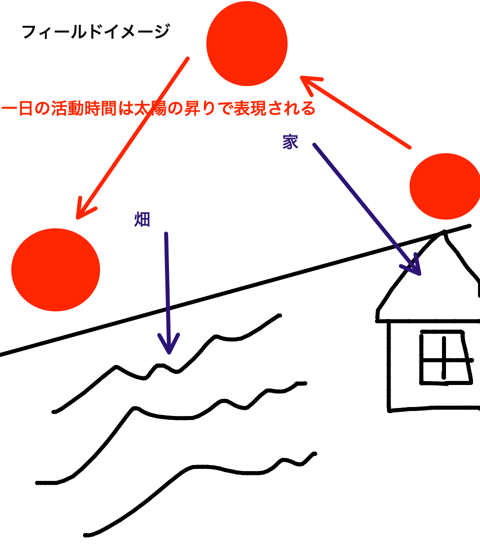 フィールド構成と太陽