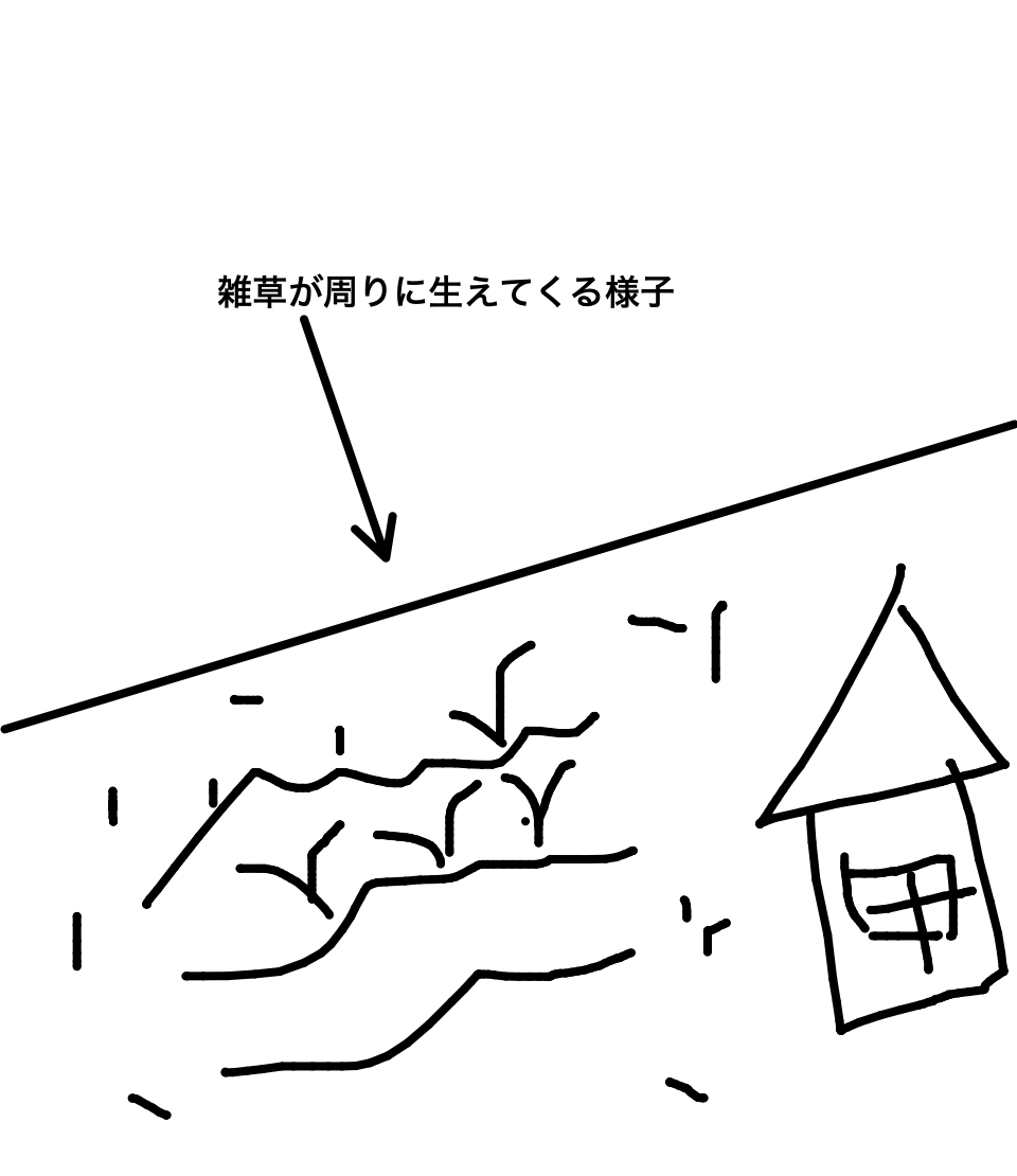 雑草