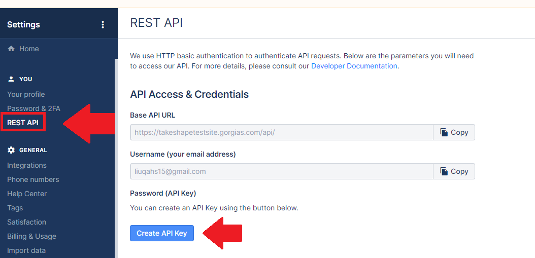 A screenshot of the REST API panel