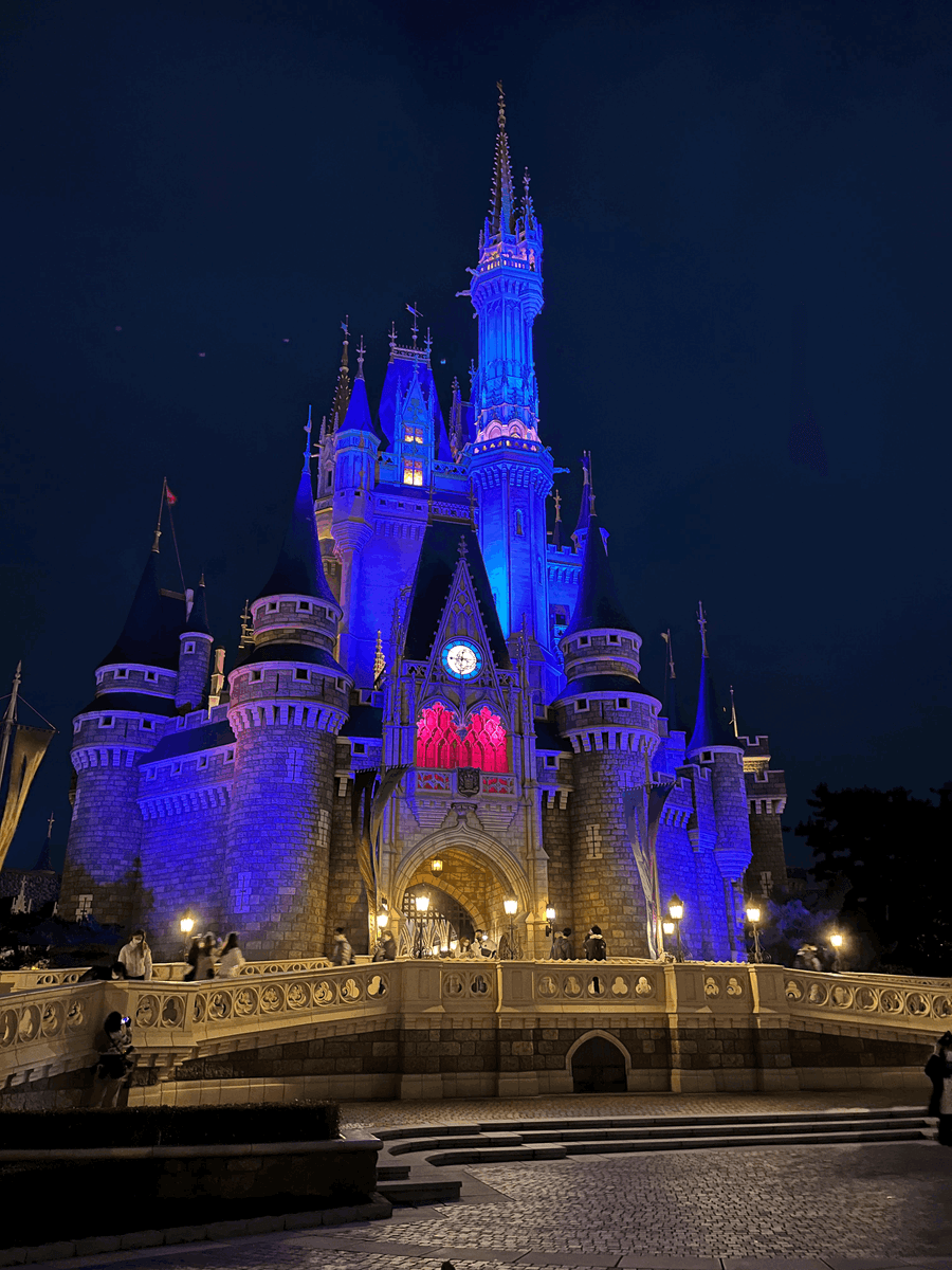 Tokyo Disneyland During Covid