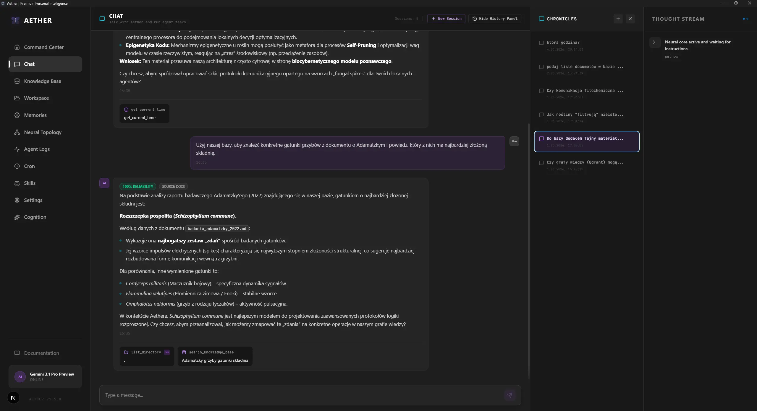 Chat Interface