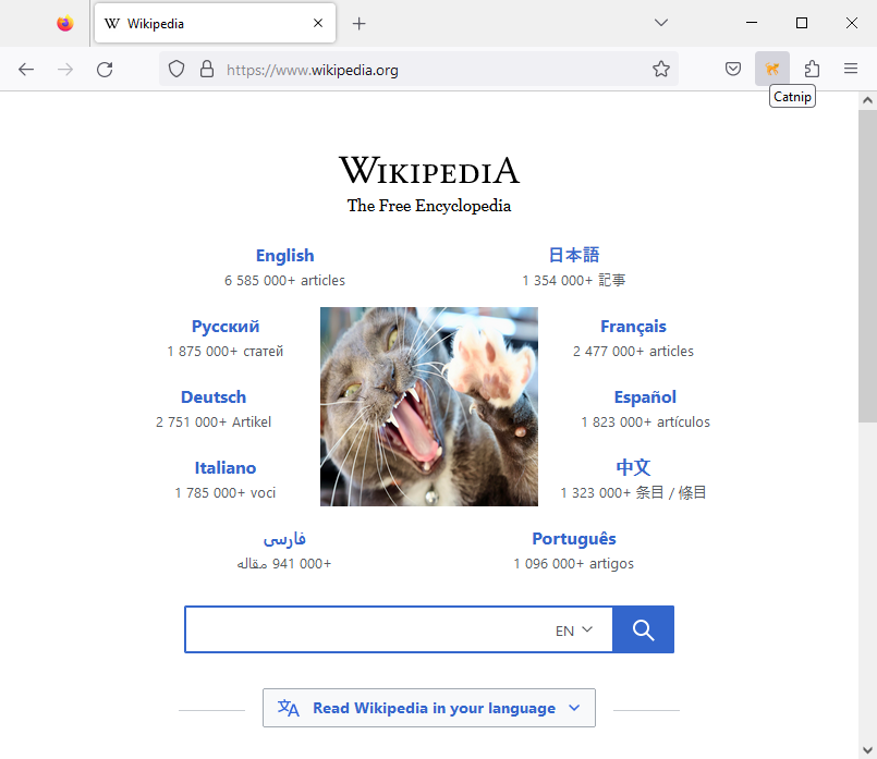 Wikipedia Homepage