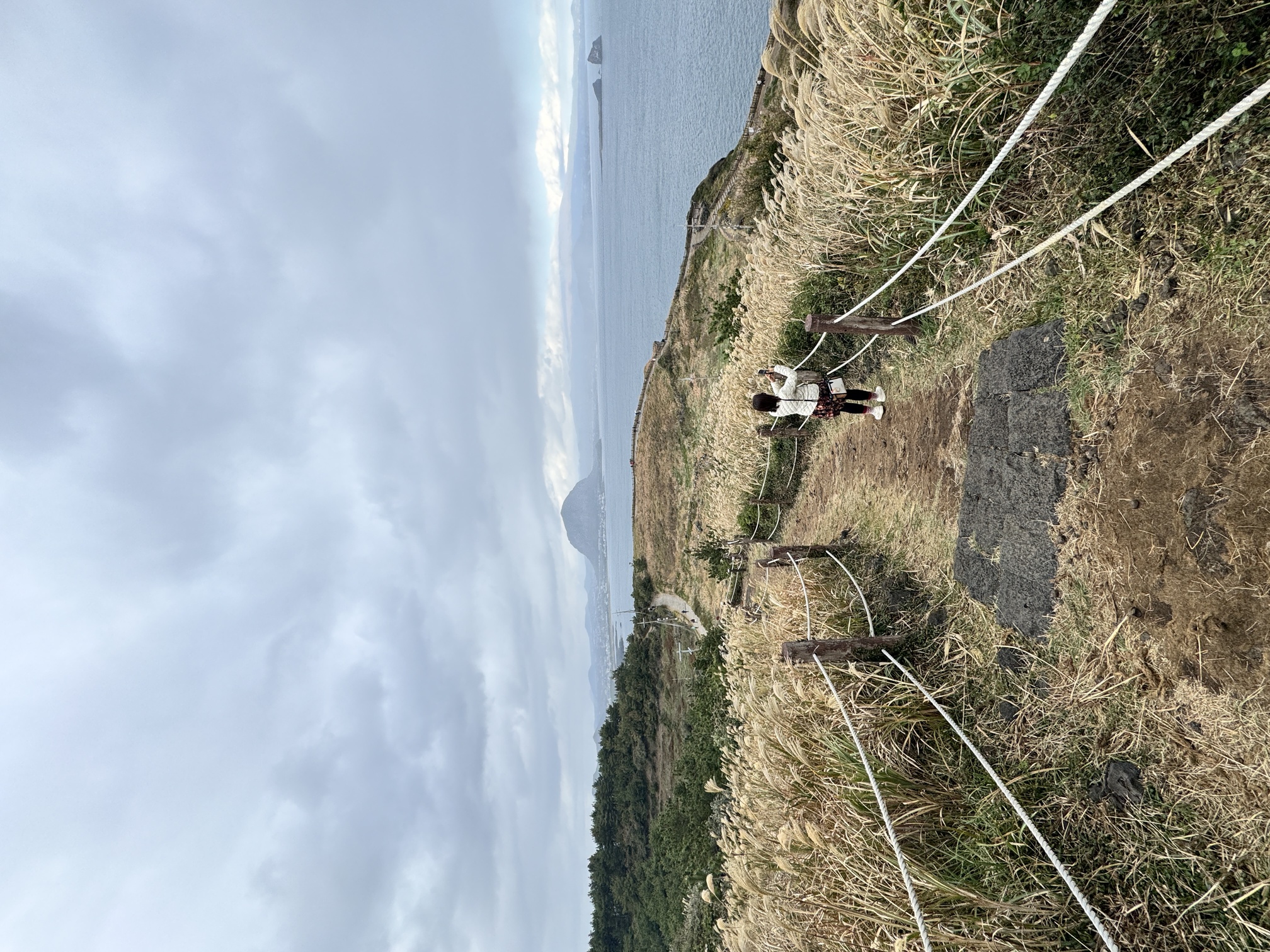 Jusangjeolli Cliff Jeju Island Korea