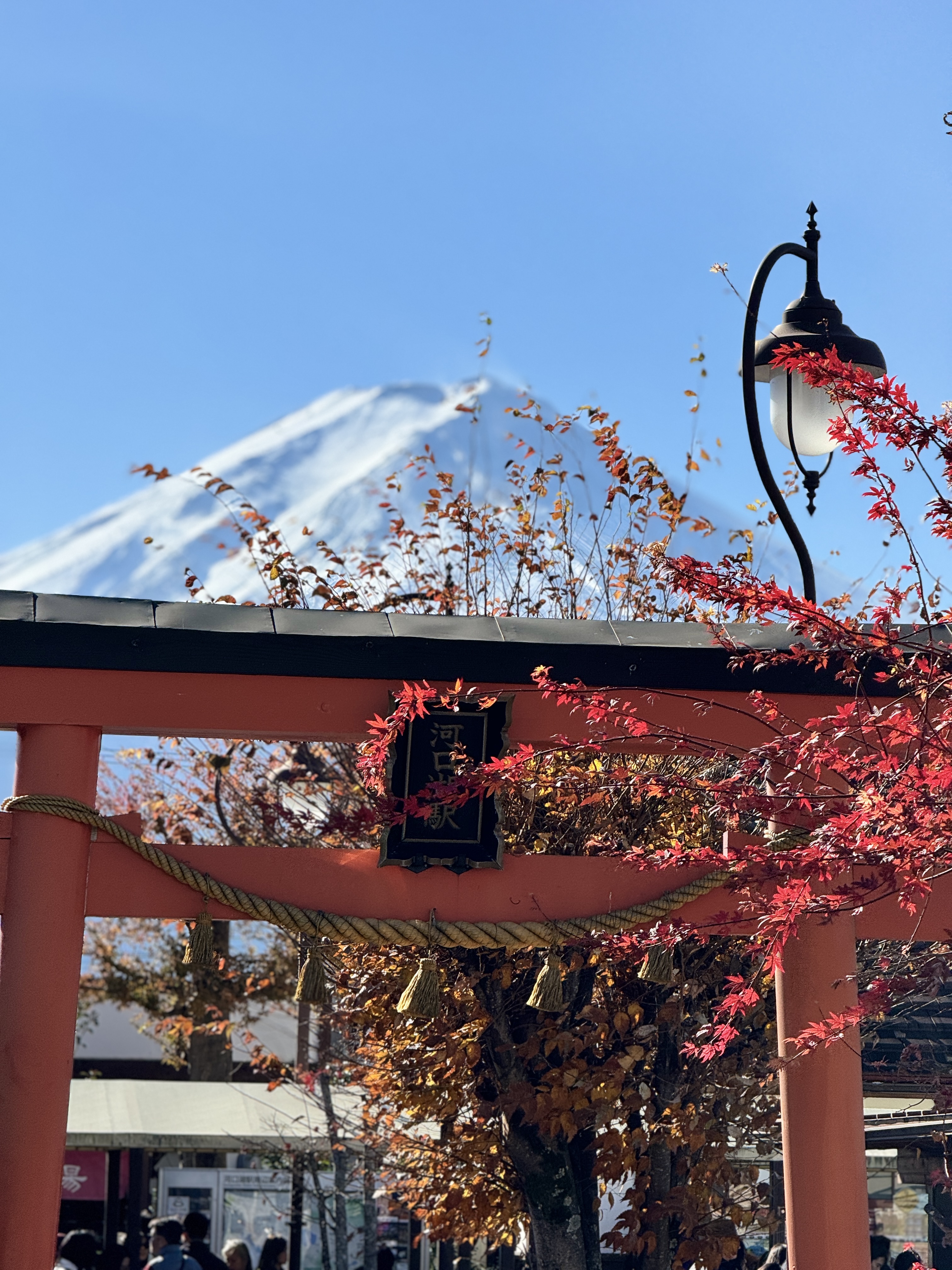 Mt. Fuji reflected in Lake Kawaguchiko, Japan in autumn
