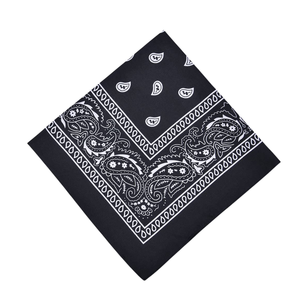 Bandana Paisley-Print