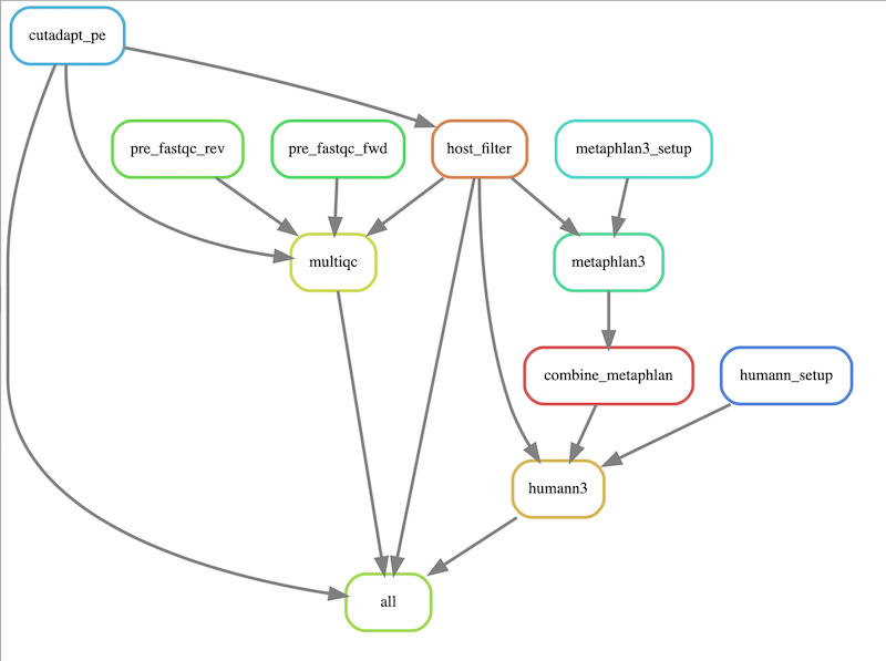 Rule Graph