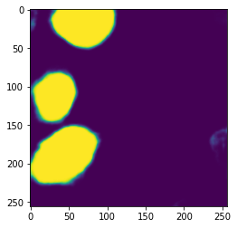 Output predicted mask.