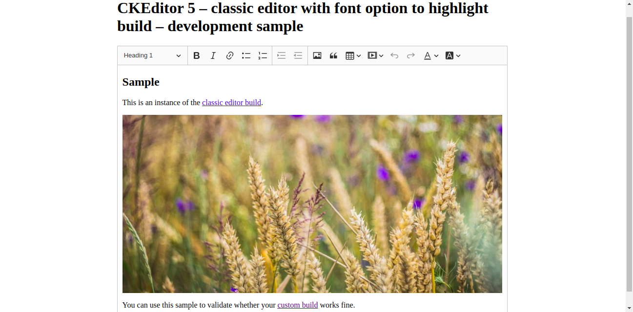 CKEditor 5 classic editor build screenshot