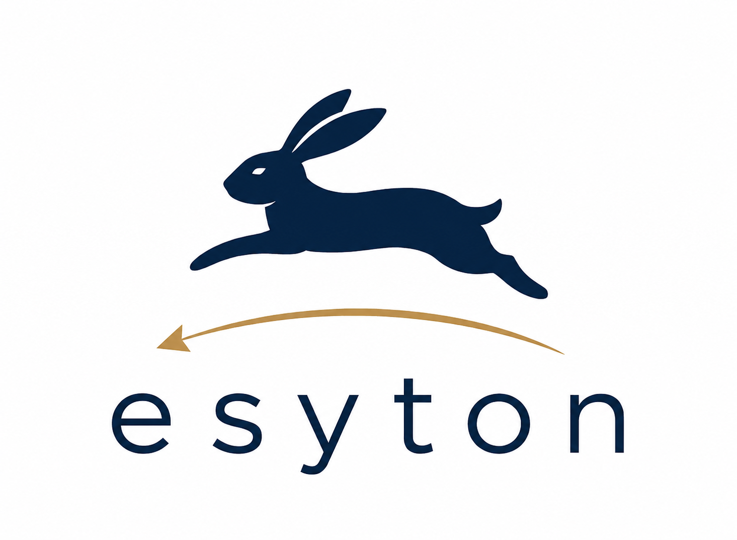 Esyton Insights LLP