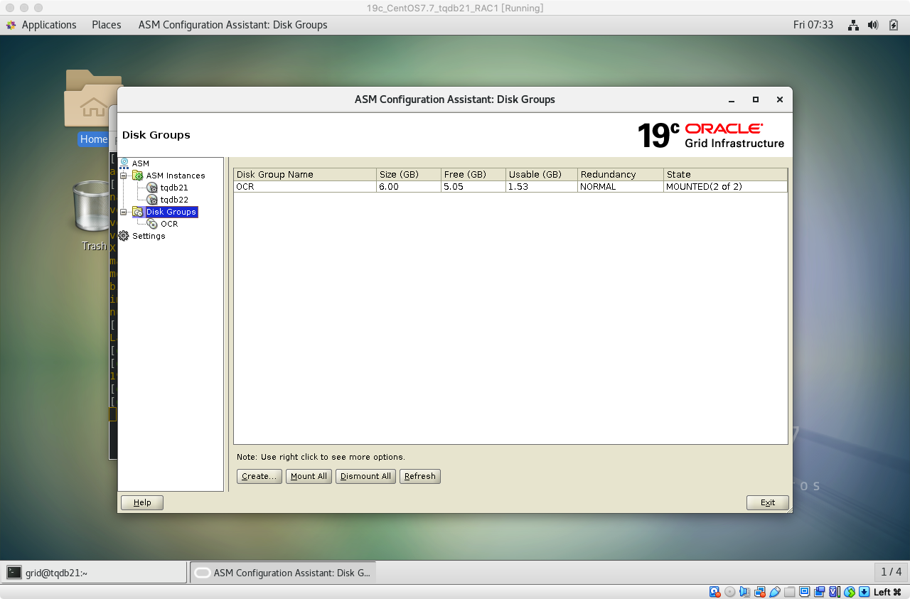 19cRACasmca创建DATA磁盘组04