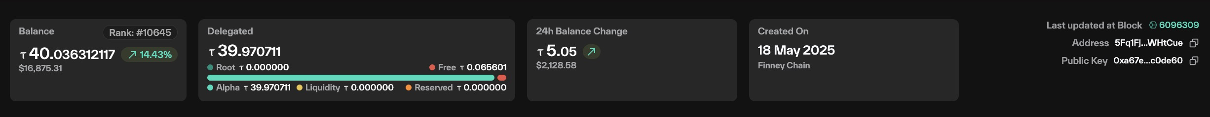 Taostats account summary panel with balance, delegated breakdown, 24-hour change, and creation date cards plus block, address, and public key metadata