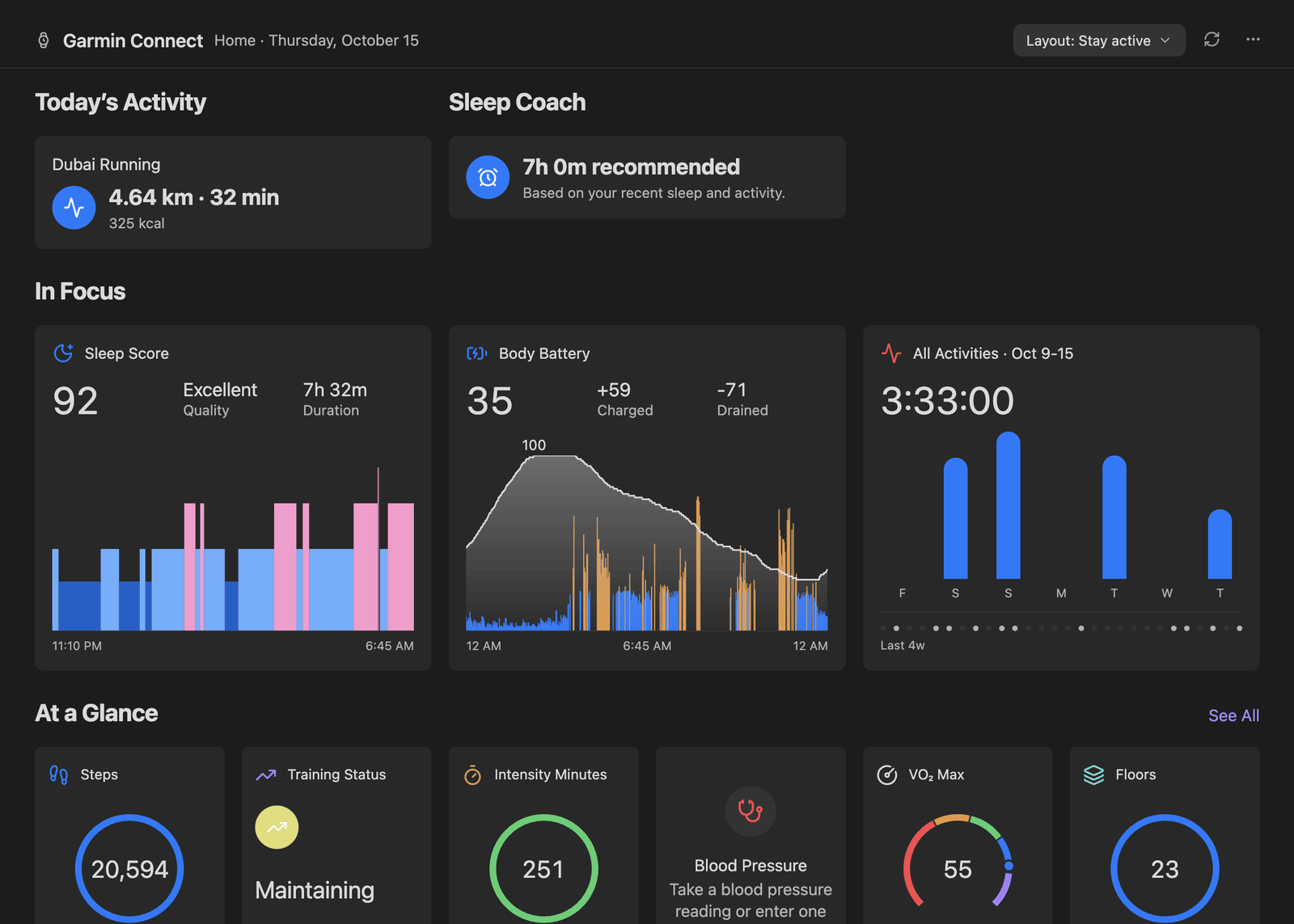 Home in a wide pane: today's run, Sleep Score, Body Battery, the week's activities and At a Glance