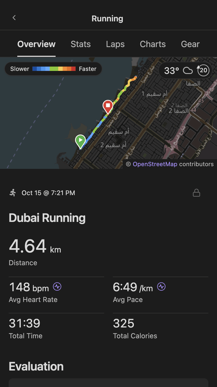 A run's page on a phone, with its map