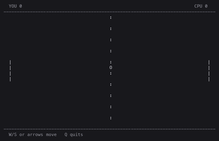 pong-asm