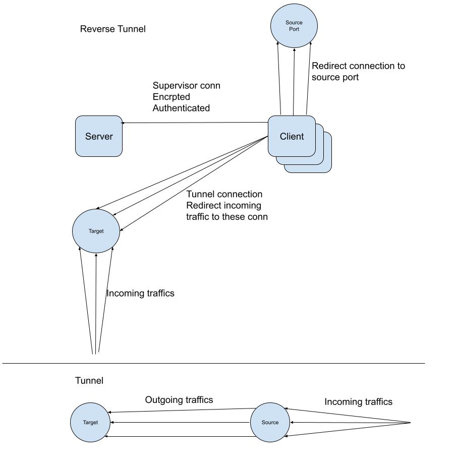 Go-tunnel architecture