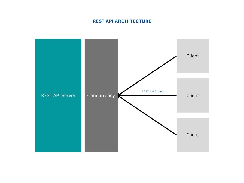 REST API Access Architecture