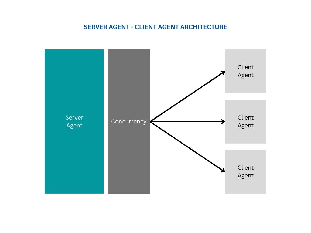 Server-Client Agent Architecture