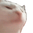 Dancing-cat