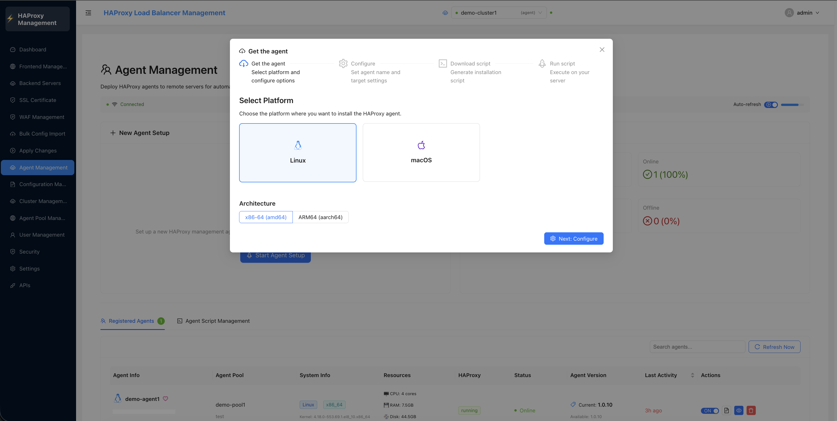 Agent Management - Setup Wizard