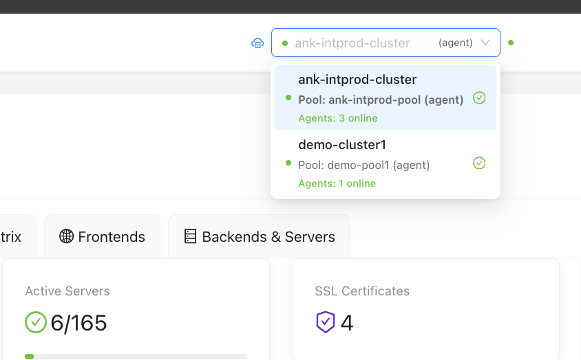 Multi-Cluster Management - Cluster Selector