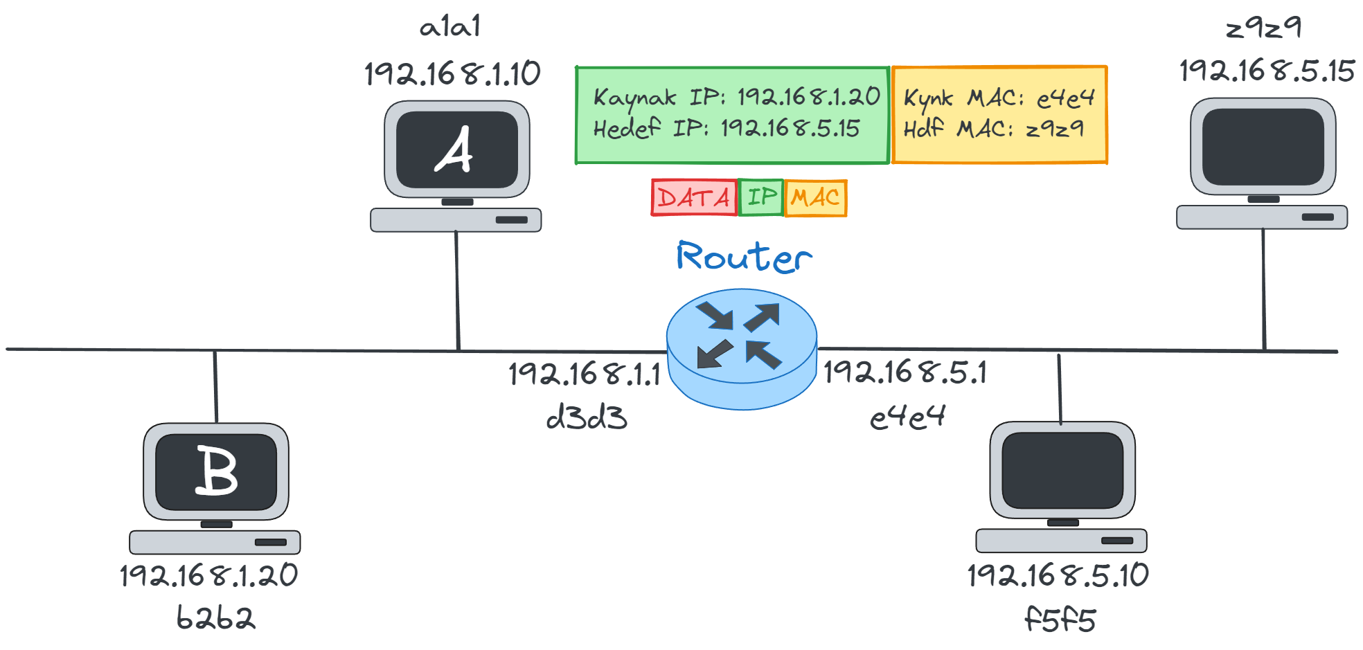 ARP11.webp