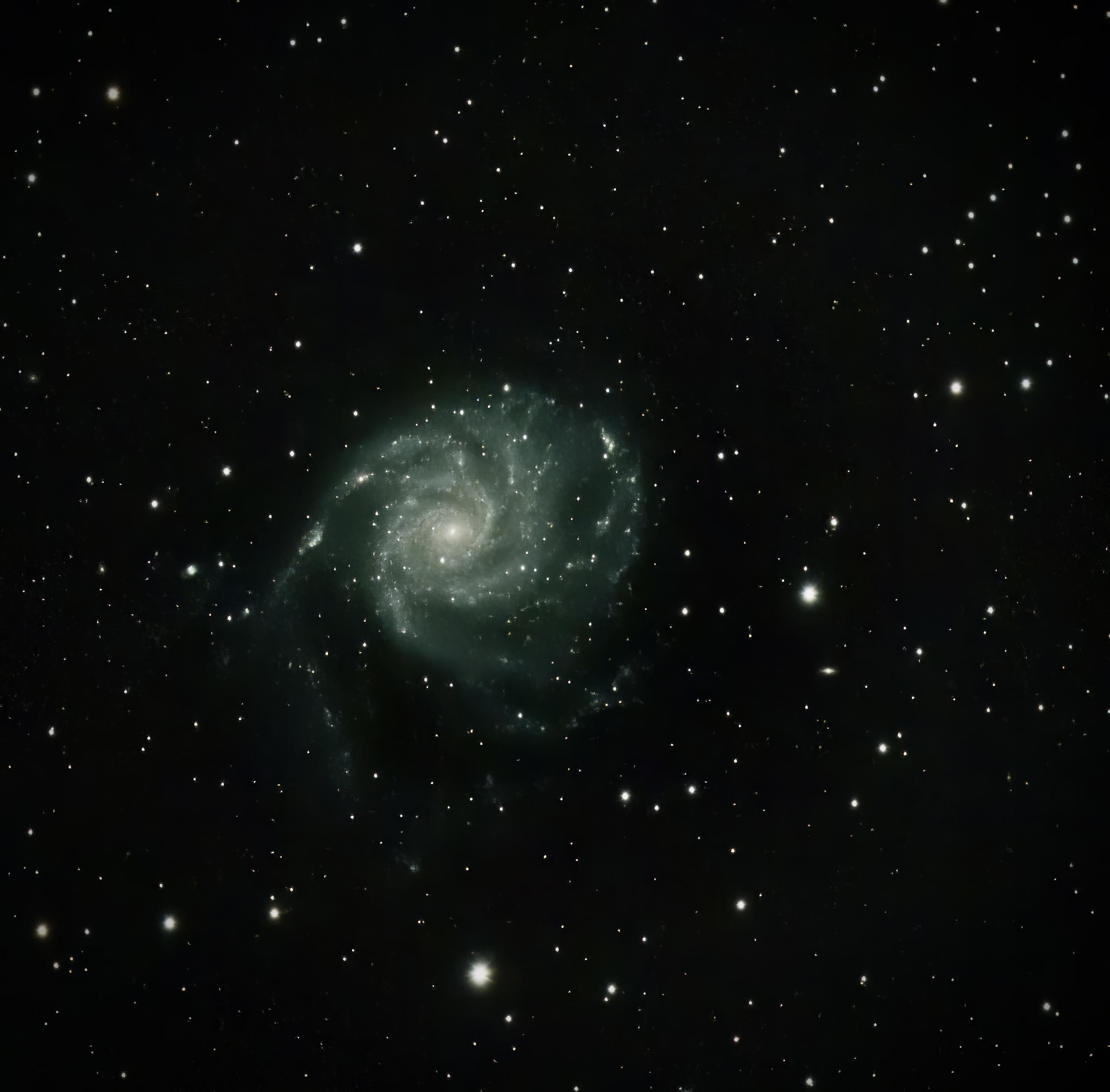 M101
