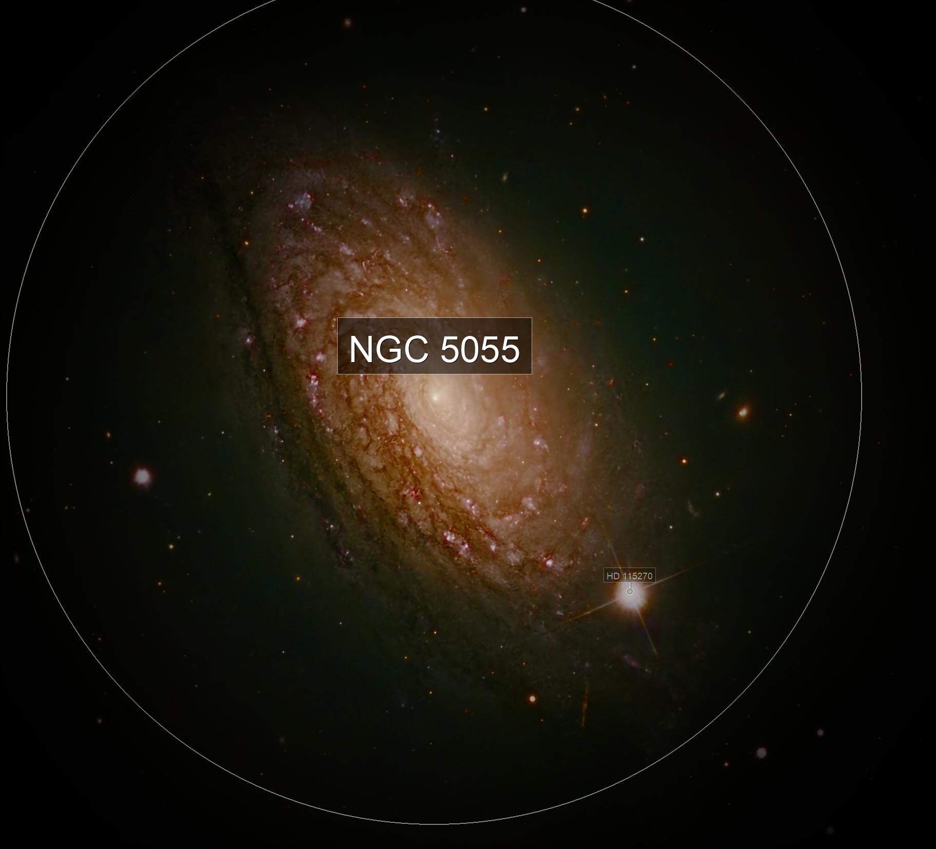 M63