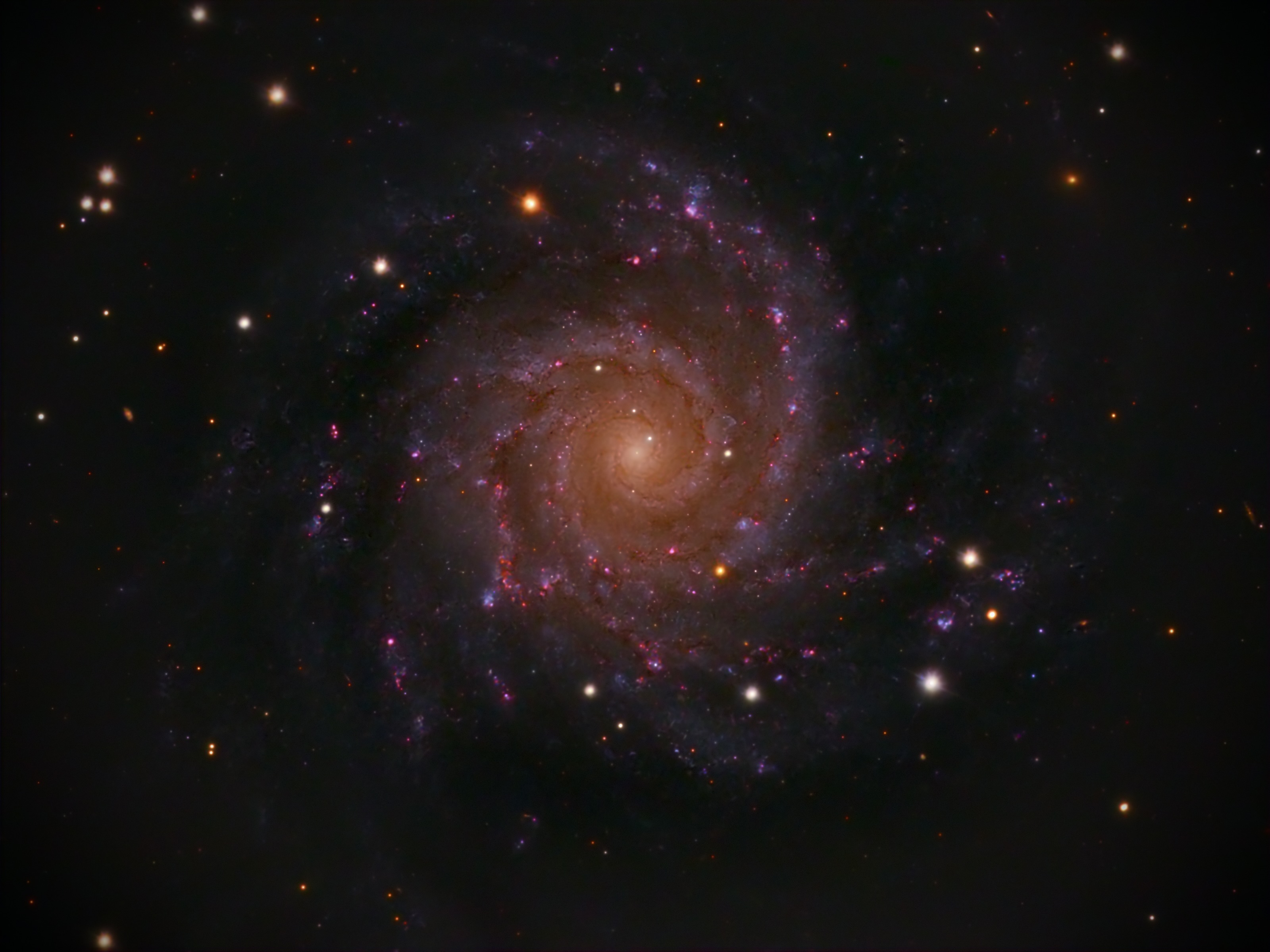 M74