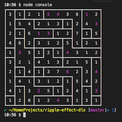 Console App 10x10 Ripple Effect Puzzle