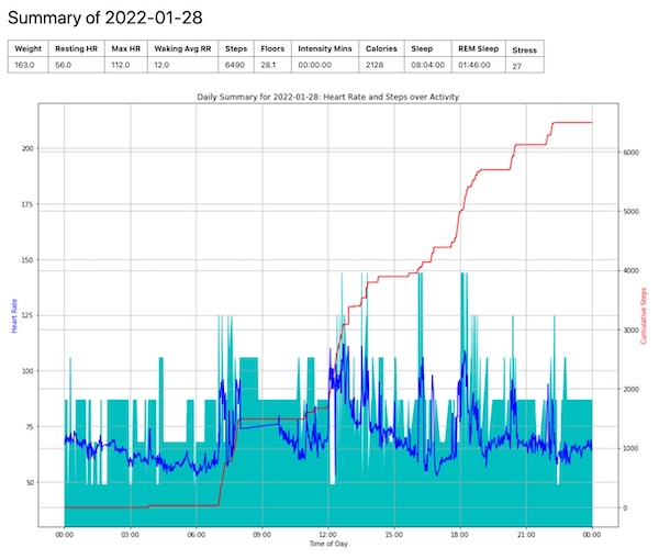 Screen shot of a graph of steps