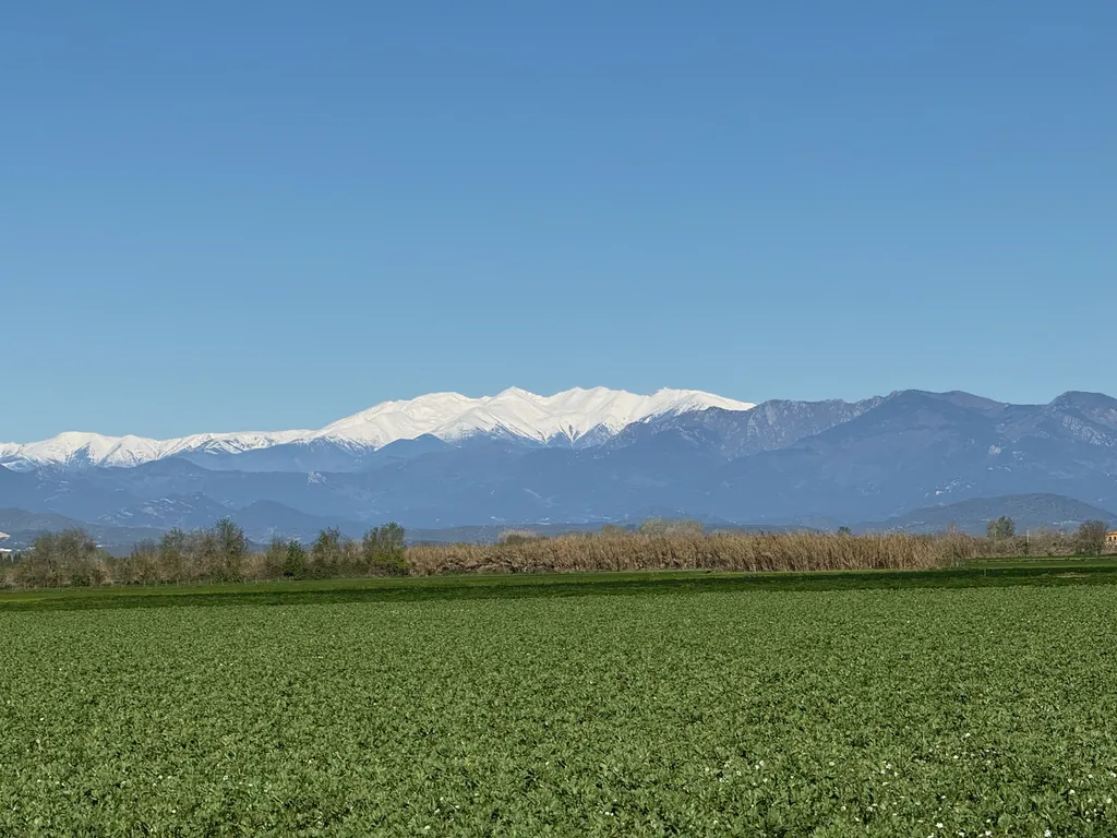 Canigou