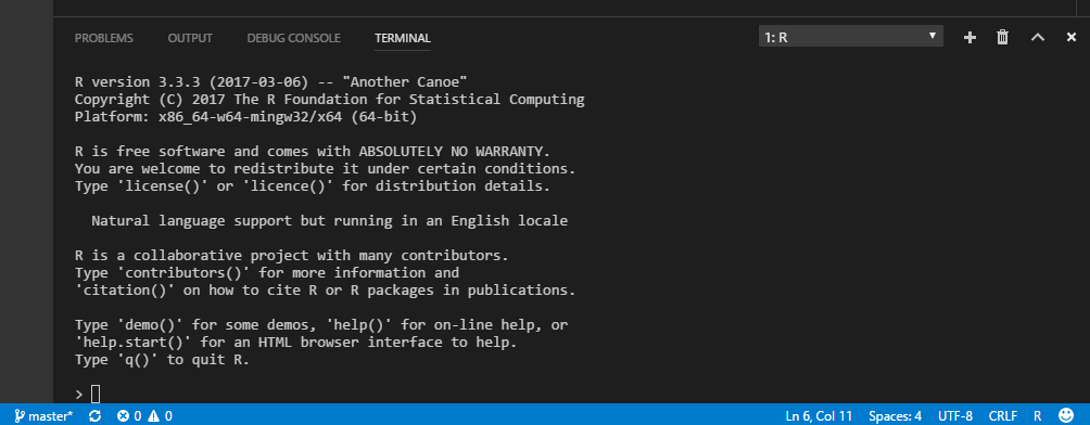 Create R terminal