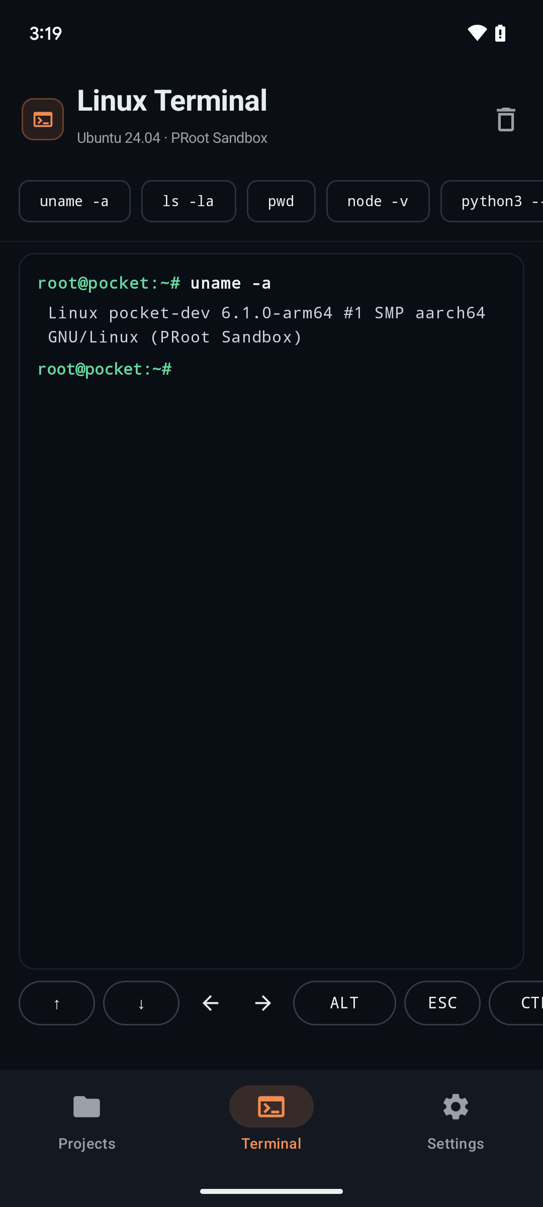 Linux terminal execution