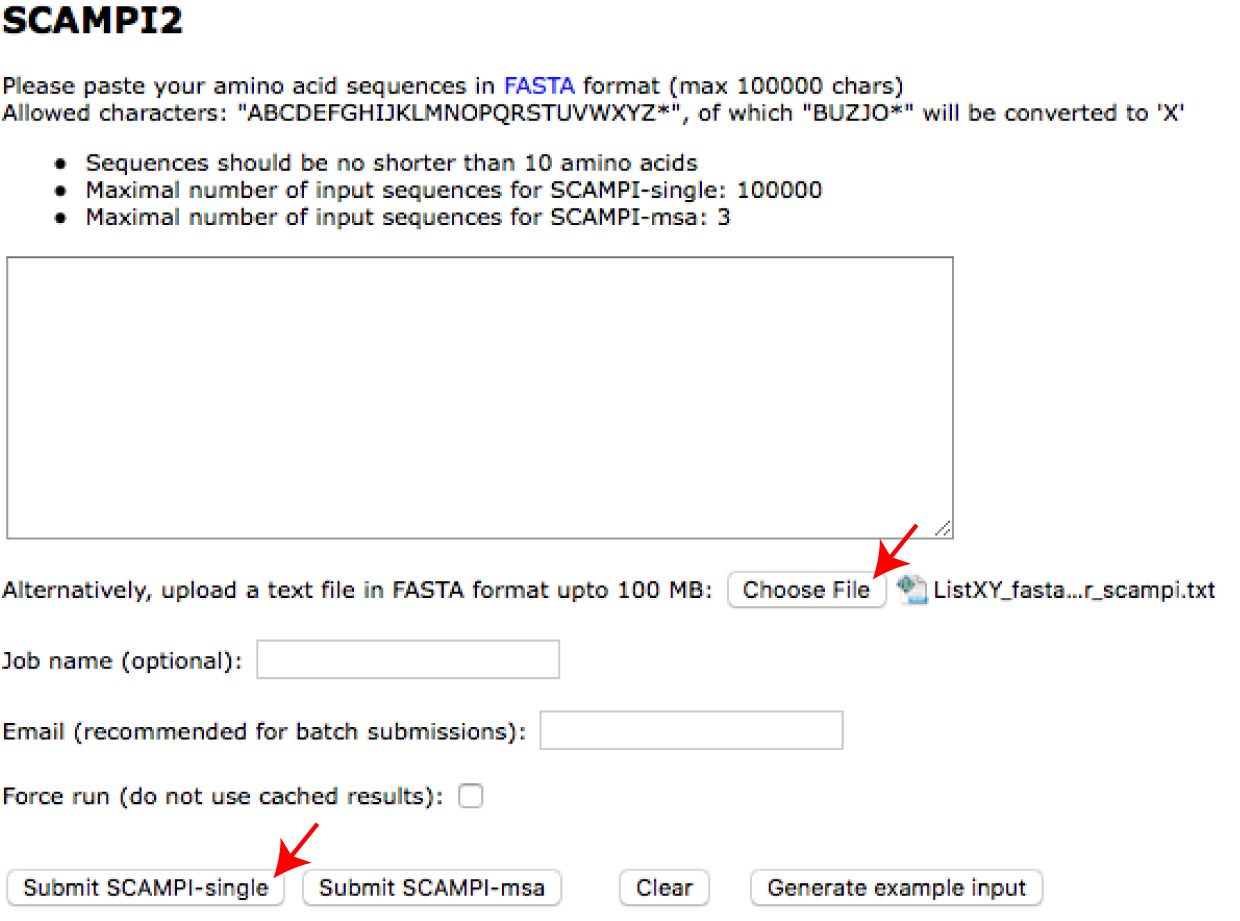 scampi_single_submit