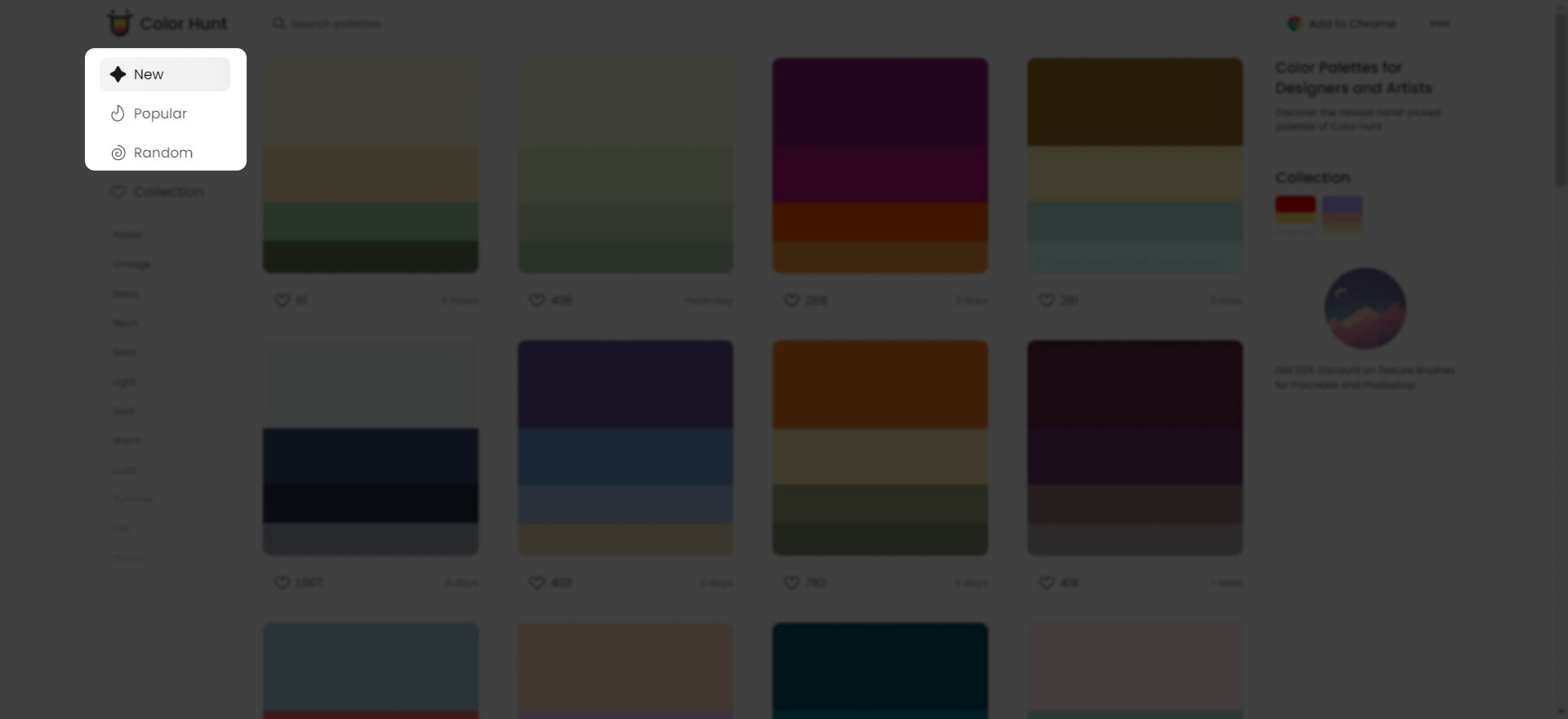 colorhunt_02-1_category