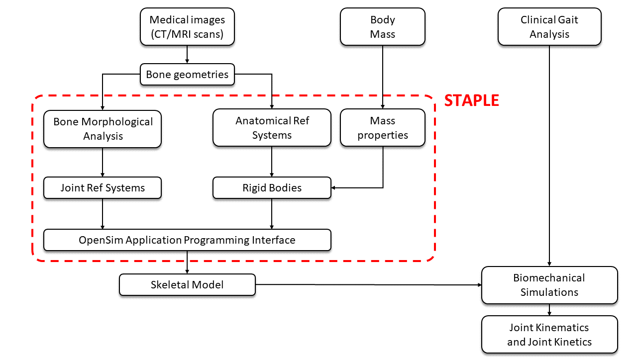 STAPLE_workflow