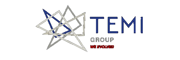 Temi Group
