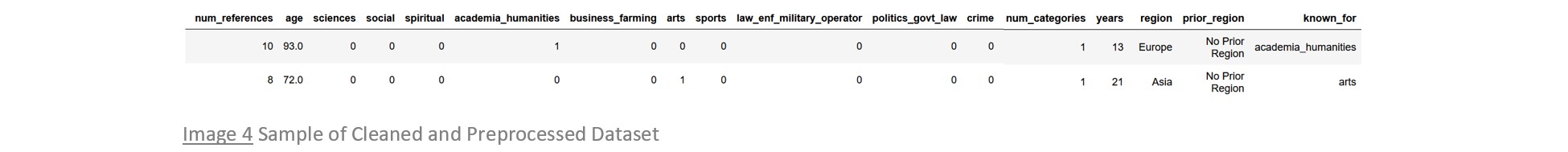 images/data_preproc_snippet.jpg