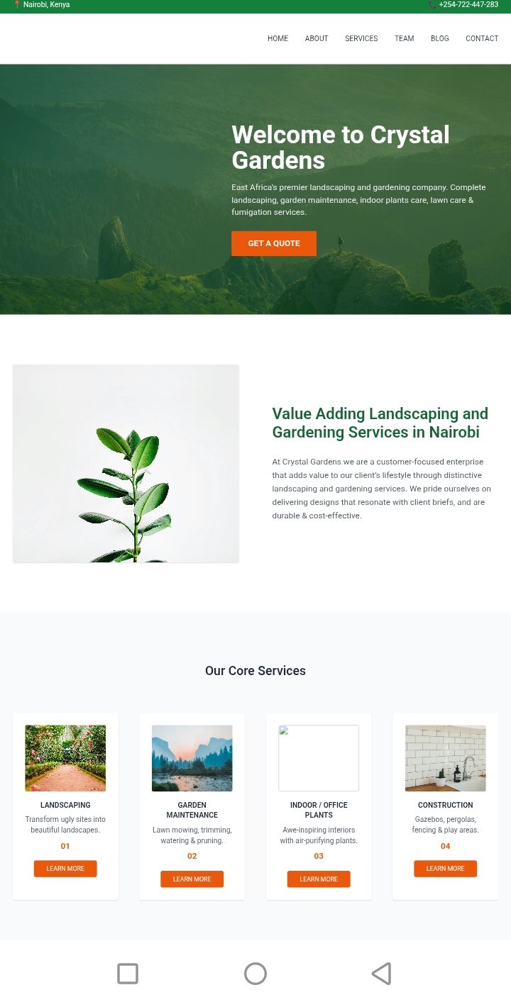 Portfolio project