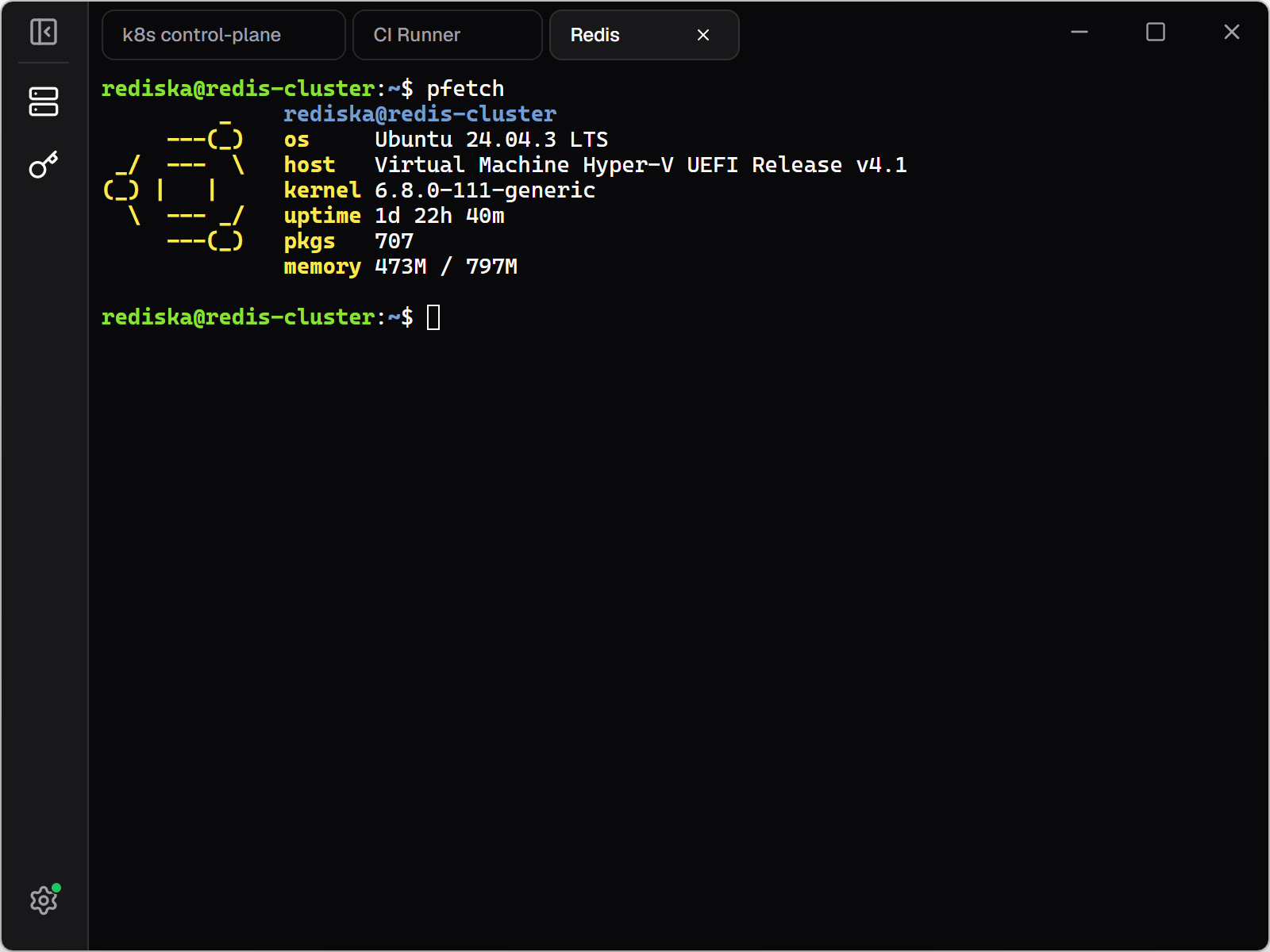 Terminator terminal